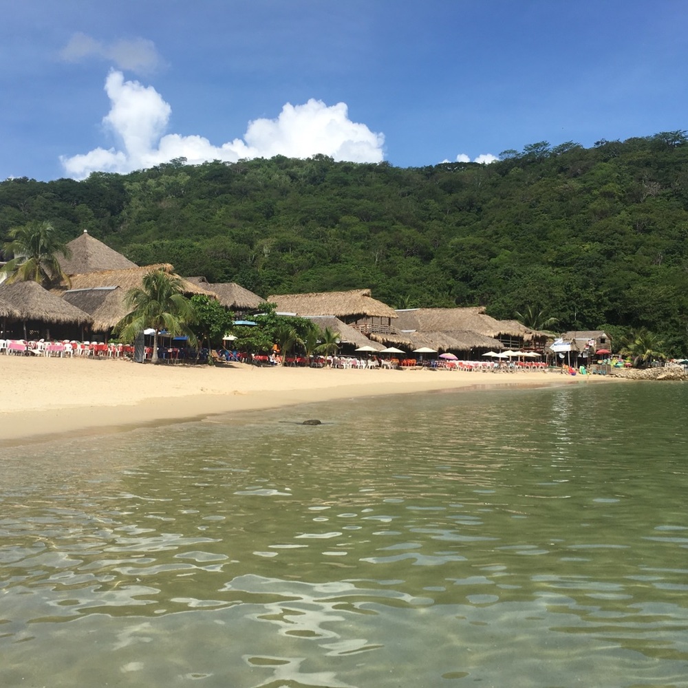 Meet your Posher, Sandra